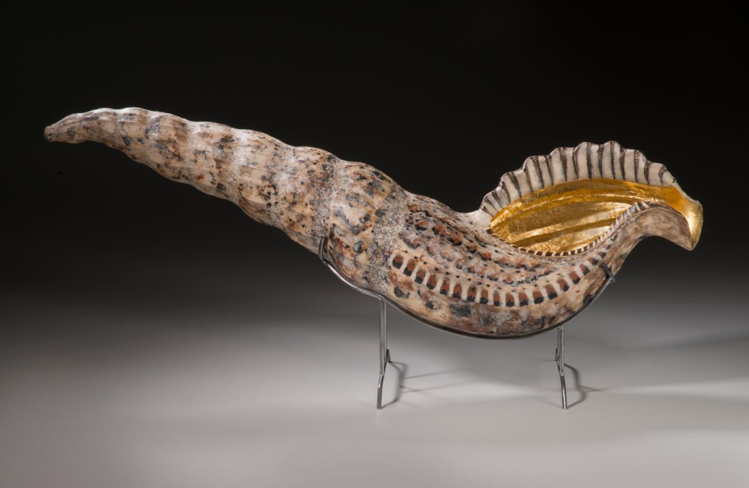 Saxophonus Ranellidae